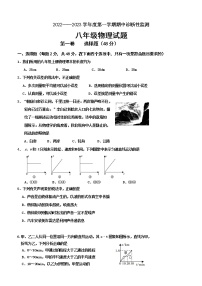 山东省枣庄市台儿庄区2022-2023学年八年级上学期期中考试物理试题