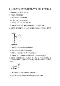 2021-2022学年山东省聊城市阳谷县八年级（下）期中物理试卷