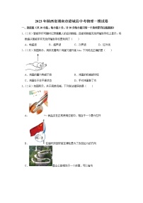 2023年陕西省渭南市澄城县中考物理一模试卷(含答案）