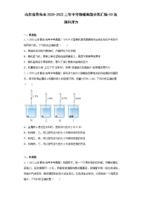 山东省青岛市2020-2022三年中考物理真题分类汇编-03压强和浮力