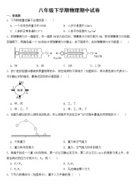 山东省枣庄2023年八年级下学期物理期中试卷【含答案】