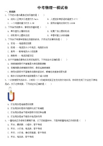 江苏省泰州市2023年中考物理一模试卷【含答案】