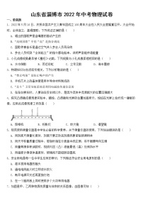 山东省淄博市2022年中考物理试卷【含答案】
