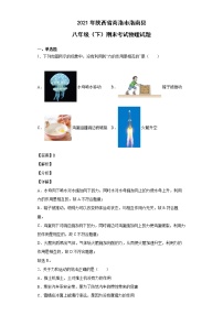 2021年陕西省商洛市洛南县八年级（下）期末考试物理试题