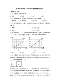 2023年上海市七宝中学中考物理模拟试题（含答案）