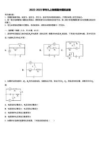 2022-2023学年山东省临沂市第一中学九年级物理第一学期期末教学质量检测模拟试题含解析