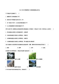 2023年中考物理复习专题训练物态变化