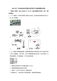 2023年广东省深圳市罗湖外语学校中考物理模拟试卷（含答案）