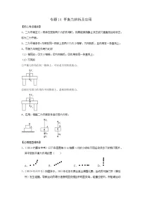 专题14 平衡力辨析及应用-2023年中考物理二轮复习核心考点精讲与精练(全国通用)