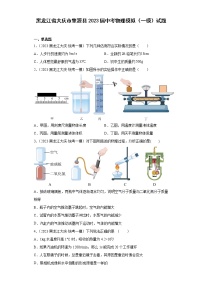 黑龙江省大庆市肇源县2023届中考物理模拟（一模）试题(含解析）