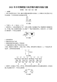 2023年中考物理复习电学微专题专项练习题