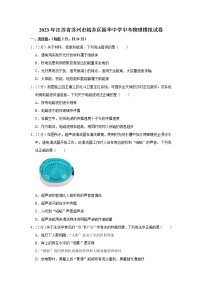 江苏省苏州市振华中学校2022-2023学年九年级下学期阶段性评估物理试卷（含答案）