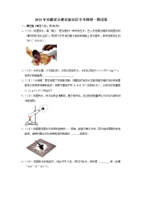 2023年安徽省合肥市新站区中考物理一模试卷