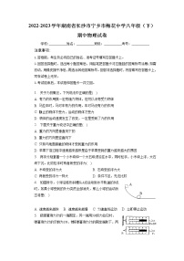 湖南省长沙市宁乡市梅花中学2022-2023学年八年级下学期期中物理试卷