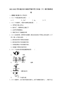 重庆市丰都县平都中学2022-2023学年八年级下学期期中物理试卷（含答案）