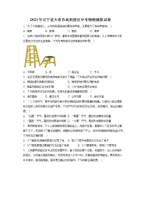 2023年辽宁省大连市高新园区中考物理模拟试卷（含答案解析）
