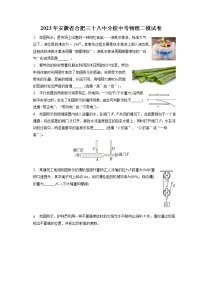 2023年安徽省合肥三十八中分校中考物理二模试卷(含答案)