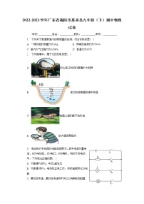 广东省揭阳市惠来县2022-2023学年九年级下学期期中质量监测物理试题