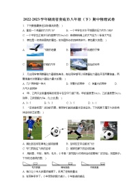 湖南省娄底市2022-2023学年八年级下学期期中物理试卷(含答案)