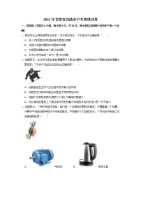2022年甘肃省 武威市平凉市 中考物理真题（Word版，无答案）