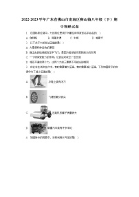 广东省佛山市南海区狮山镇2022-2023学年八年级下学期期中物理试题