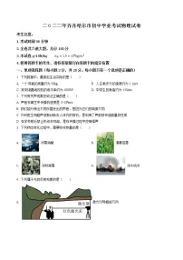 2022年黑龙江省齐齐哈尔市中考物理真题(含答案)