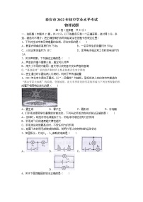 2022年山东省泰安市中考物理真题（Word版，无答案）