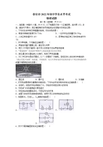 2022年山东省泰安市中考物理真题(Word版,无答案)