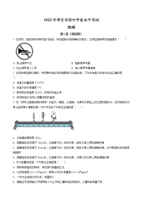 2022年山东省枣庄市中考物理试题（含答案）