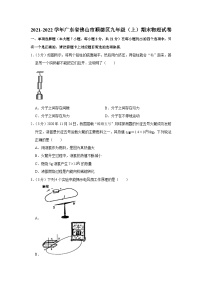 2021-2022学年广东省佛山市顺德区九年级（上）期末物理试卷