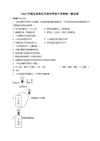 2023年湖北省武汉外国语学校中考物理一模试卷