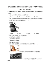 四川省成都市龙泉驿区2021-2022学年九年级下学期期中物理试卷