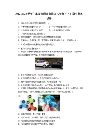 广东省深圳市龙岗区2022-2023学年八年级下学期期中物理试卷