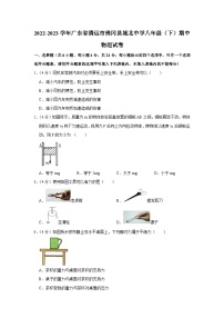 广东省清远市佛冈县城北中学2022-2023学年八年级下学期期中物理试卷（含答案）