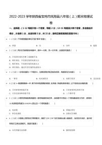 2022-2023学年陕西省宝鸡市凤翔县八年级（上）期末物理试卷