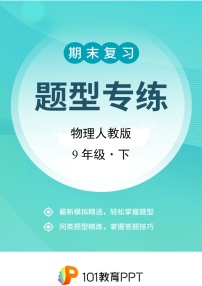 物理人教版9年级下题型专练01 选择题