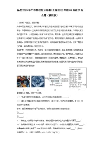 备战2023年中考物理抢分秘籍(全国通用)专题09 电磁学 综合题（解析版）