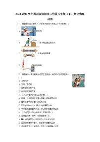 四川省绵阳市三台县2022-2023学年八年级下学期期中物理试卷