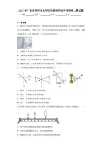 2023年广东省深圳市龙华区外国语学校中考物理二模试题