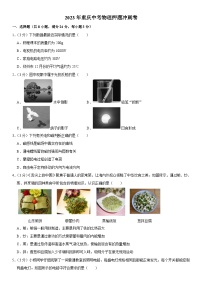 2023年重庆中考物理押题冲刺卷（含答案）