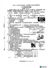 山东省菏泽市成武县2022-2023学年九年级下学期期中考试物理试题