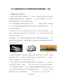 2023届陕西省西安市中考物理阶段性适应模拟试题（二模）含解析