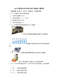 2023年黑龙江省齐齐哈尔市中考物理一模试卷(含答案)