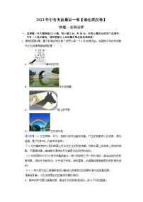 物理（湖北武汉卷）-【试题猜想】2023年中考考前最后一卷（全解全析）