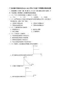 广东省惠州市惠东县2021-2022学年八年级下学期期末物理试题