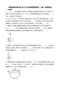 河南省南阳市镇平县2023年九年级物理调研测试（一模）试卷附答案