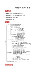 考点09 压力 压强 备战中考物理一轮复习知识点+练习（含答案解析）