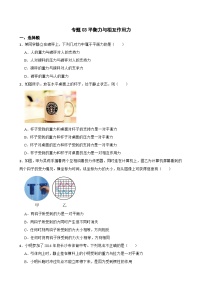 2023年中考物理二轮复习专题训练03 平衡力与相互作用力