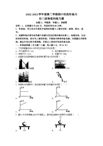 广东省茂名市崇文学校2022-2023学年八年级下学期期中物理试题(无答案)