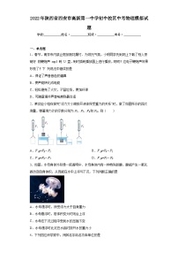 2022年陕西省西安市高新第一中学初中校区中考物理模拟试题（含解析）